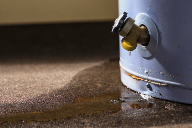 Best 24/7 water damage repair  in Rome City, IN