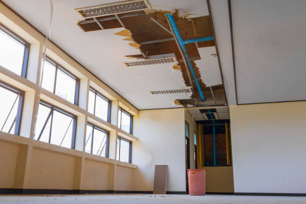 Best Mold removal after water damage  in Rome City, IN
