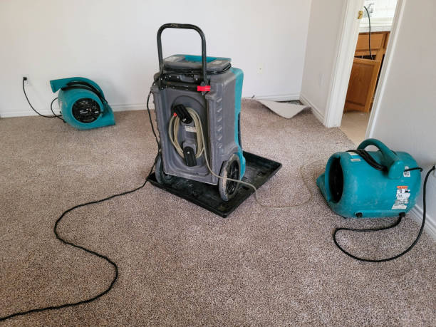 Best Water damage contractors near me  in Rome City, IN