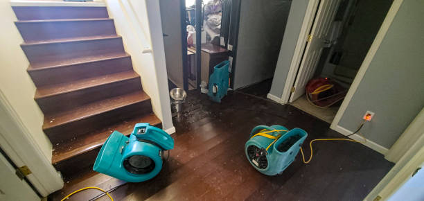 Best 24/7 water damage repair  in Rome City, IN