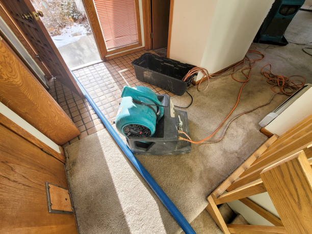 Best Flood restoration services  in Rome City, IN
