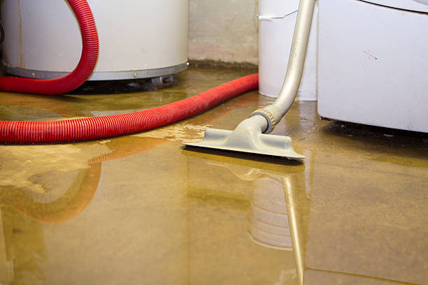 Best Flood damage cleanup  in Rome City, IN