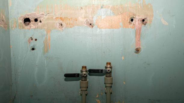 Best Professional water damage repair  in Rome City, IN