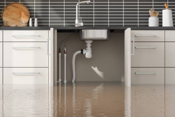 Best Basement water damage restoration  in Rome City, IN