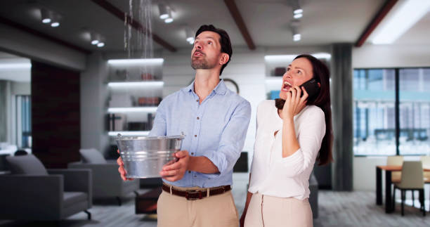 Best Basement water damage restoration  in Rome City, IN
