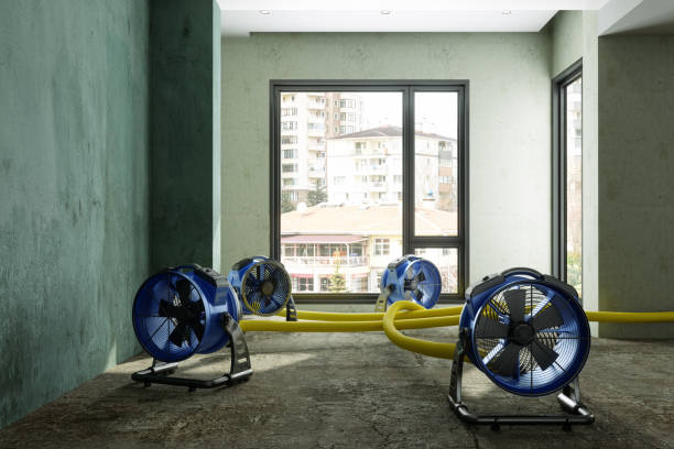 Best Water damage cleanup near me  in Rome City, IN
