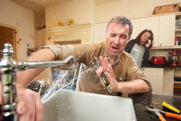 Best Flooded house restoration  in Rome City, IN